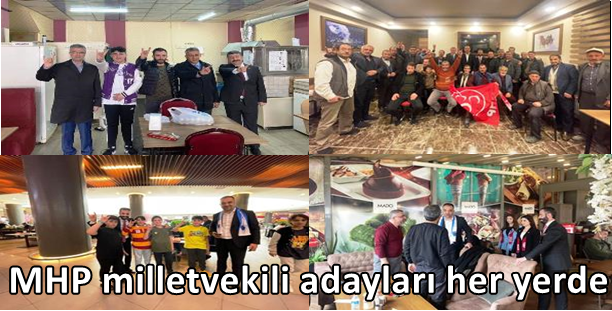 MHP milletvekili adayları her yerde