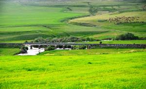 Türkiye’nin en büyük çayır ve mera alanları Erzurum’da