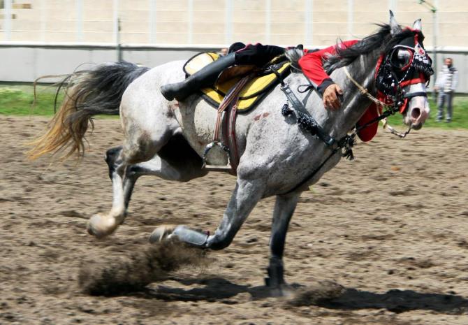 Erzurum’da cirit heyecanı