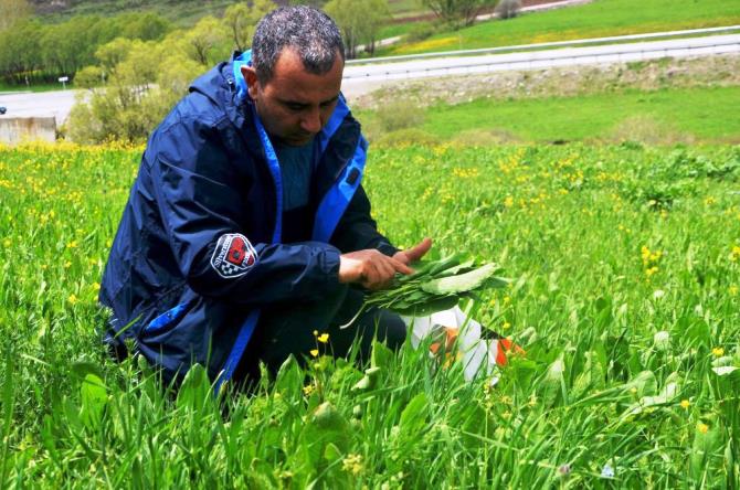 Doğadan sofralara gelen lezzetler