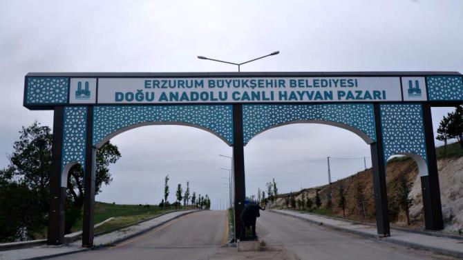 Doğu Anadolu Canlı Hayvan Pazarı'nda hareketlilik başladı