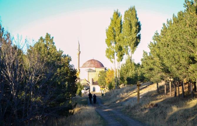 Erzurum’da ormanlık alanlara girişler yasaklandı