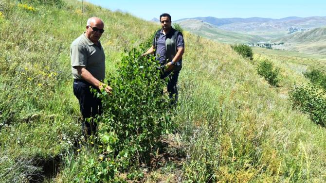 Erzurum Orman Bölge Müdürü Ayatay, Ağrı’da