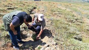 Erzurum Orman Bölge Müdürü Ayatay, Ağrı’da