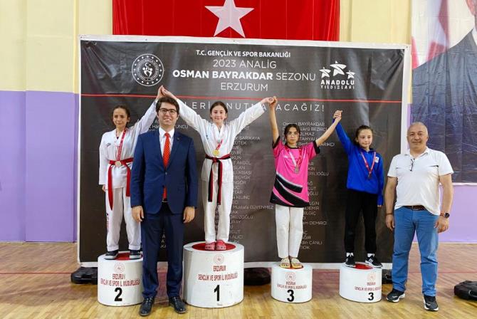 Aşkale’de Taekwondo Analig grup müsabakaları başladı