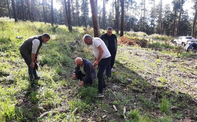 Erzurum Orman Bölge Müdürü Ayatay, Ardahan'da