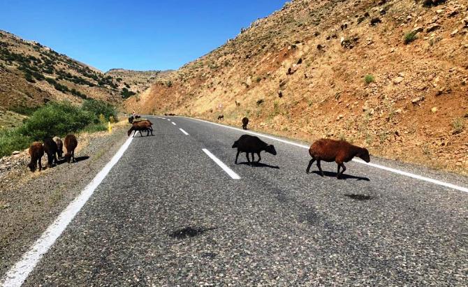 Erzurum Valiliğinden ceza açıklaması