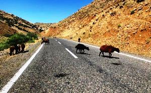 Erzurum Valiliğinden ceza açıklaması