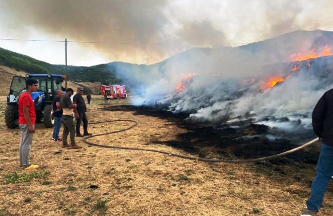 Bir yıllık emek kül oldu