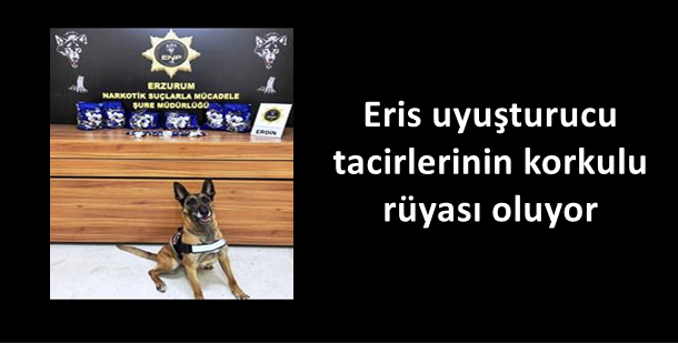 Eris uyuşturucu tacirlerinin korkulu rüyası oluyor