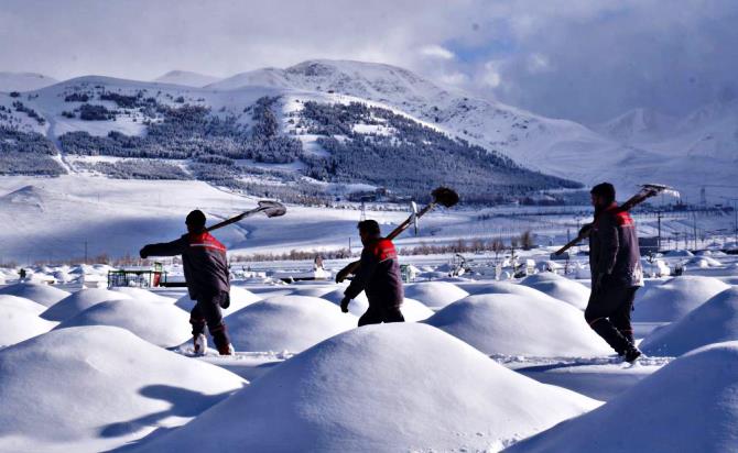 Erzurum’da mezarlıkta kış hazırlığı