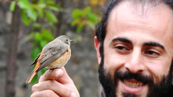 Kızılkuyruk ve çulluk doğaya salındı