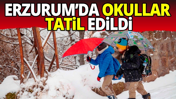 Erzurum’da kar tatili