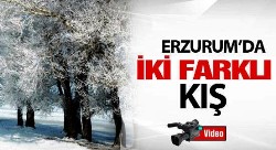 Erzurum 2 kişi bir arada yaşıyor...