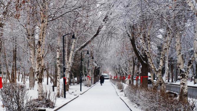 Erzurum'da kar yağışı şehri beyaza bürüdü