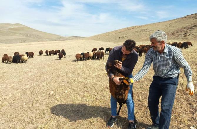 “Köyümde Yaşamak İçin Bir Sürü Nedenim Var” projesi yeniden başladı