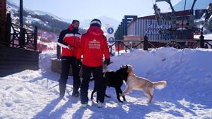 Hera ve Haydut Palandöken’in maskotu oldu