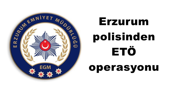 Erzurum polisinden FETÖ operasyonu