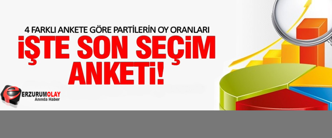 İşte 4 Farklı Anket Şirketinin Oy Oranları!...