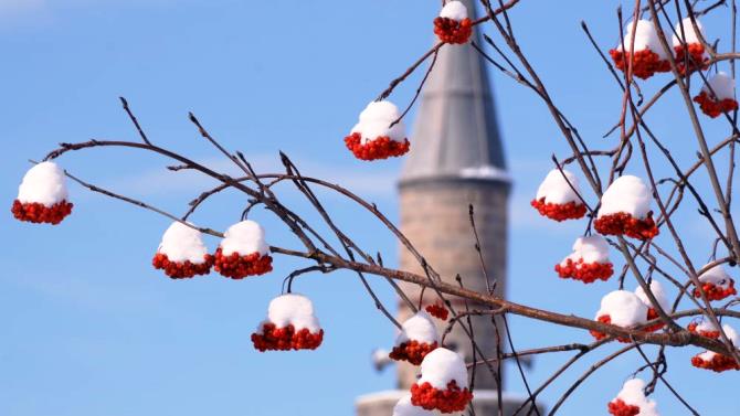 Erzurum hafta sonuna kadar kar yağışı bekleniyor