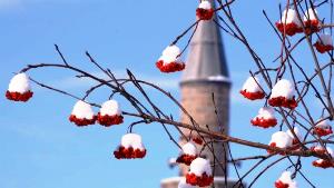 Erzurum hafta sonuna kadar kar yağışı bekleniyor