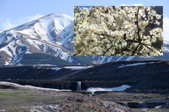 Erzurum’un bir yanı kar bir yanı bahar