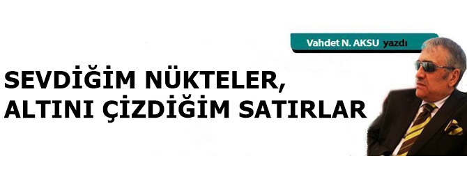 Gazeteci - Yazar Vahdet Nafiz Aksu'nun Yeni Makalesi