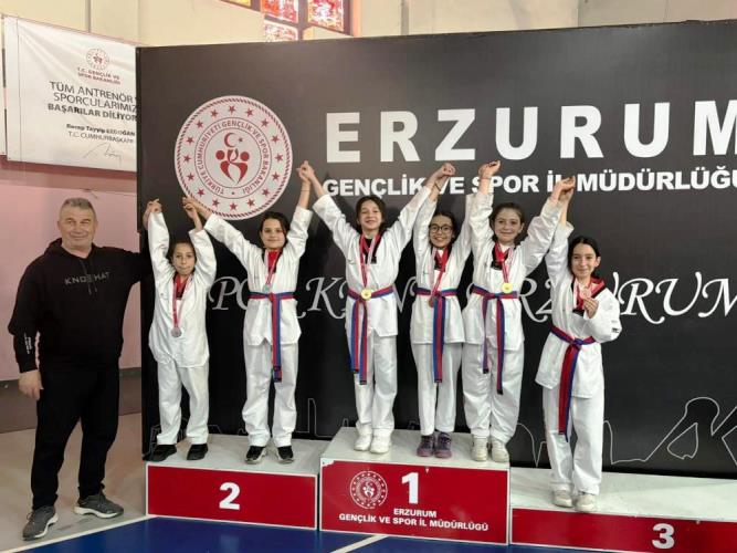 İspirli sporcular bölge Taekwondo müsabakalarına damga vurdu