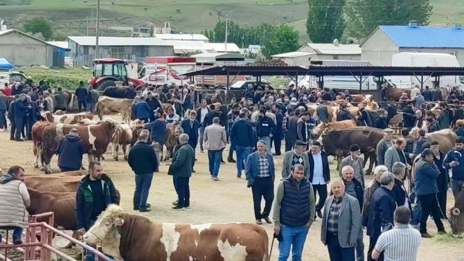 Kurbanlıklar görücüye çıktı