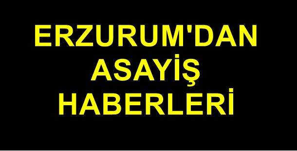 Erzurum'dan asayiş haberleri