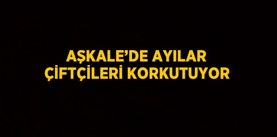 Aşkale’de ayılar çiftçileri korkutuyor