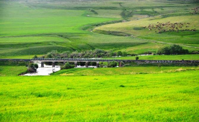 Erzurum mera ve çayır zengini