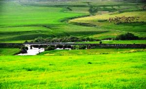 Erzurum mera ve çayır zengini