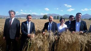 Erzurum'da milli ve yerli tohum hamlesi