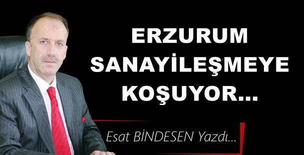 Gazeteci Yazar Esat Bindesen yazdı: 'Erzurum sanayileşmeye koşuyor… '