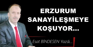 Gazeteci Yazar Esat Bindesen yazdı: 'Erzurum sanayileşmeye koşuyor… '