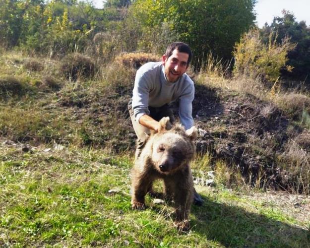 Erzurum Oltu'da yaralı yavru ayı kurtarıldı