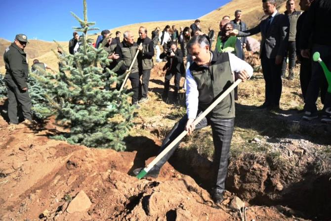 Palandöken'de 60 bin fidan toprakla buluştu