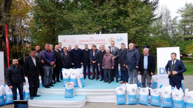 Erzurum'da DAP desteğiyle 935 ton buğday tohumu dağıtıldı