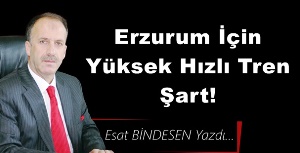 Gazeteci Yazar Esat Bindesen'in kaleminden: 'Erzurum İçin Hızlı Tren Şart!'