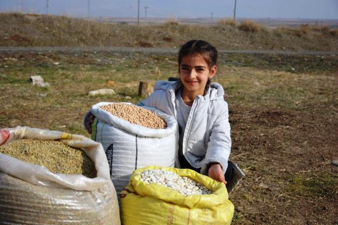 Erzurum'da 200 yıllık Ata tohumunun ticaretini yapmaya başladı