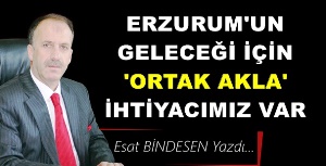 Gazeteci Yazar Esat Bindesen'in kaleminden: 'Erzurum’un Geleceği İçin Ortak Akla İhtiyacımız Var'