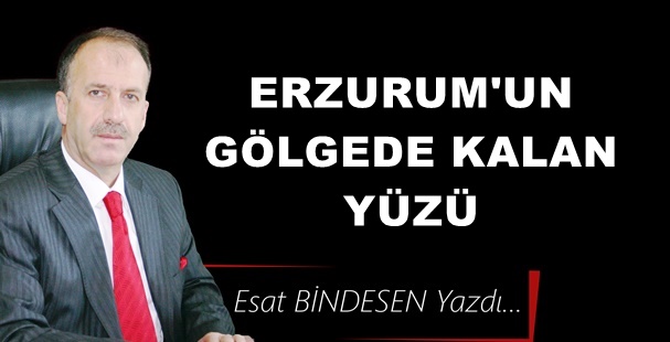 Gazeteci Yazar Esat Bindesen'in kaleminden: 'Erzurum’un Gölgede Kalan Yüzü