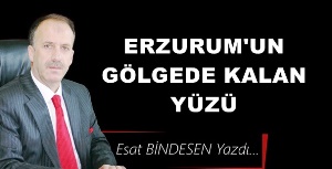 Gazeteci Yazar Esat Bindesen'in kaleminden: 'Erzurum’un Gölgede Kalan Yüzü