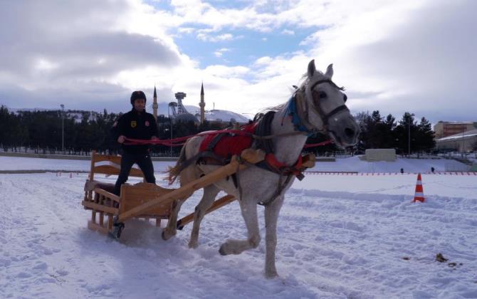 Erzurum'da atlı kızak heyecanı