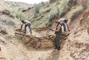 Erzurum’da 2 milyondan fazla fidan üretildi