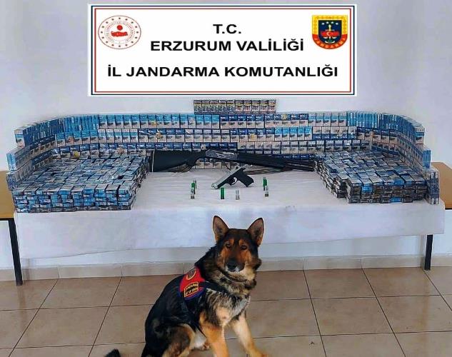 Jandarmadan kaçak sigara operasyonu