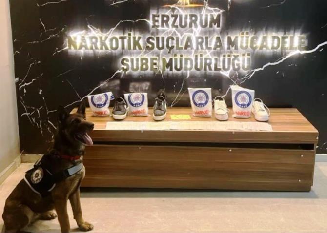 Narkotik Köpekleri Su ve Magnum yine affetmedi