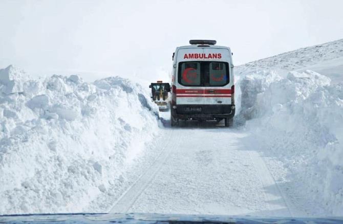 Hayvanından tekme yiyen vatandaşın imdadına jandarma yetişti