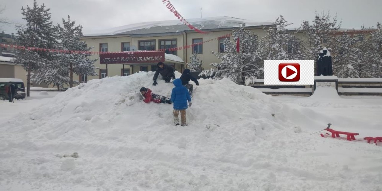 Erzurum'da kar yağışı etkili oluyor